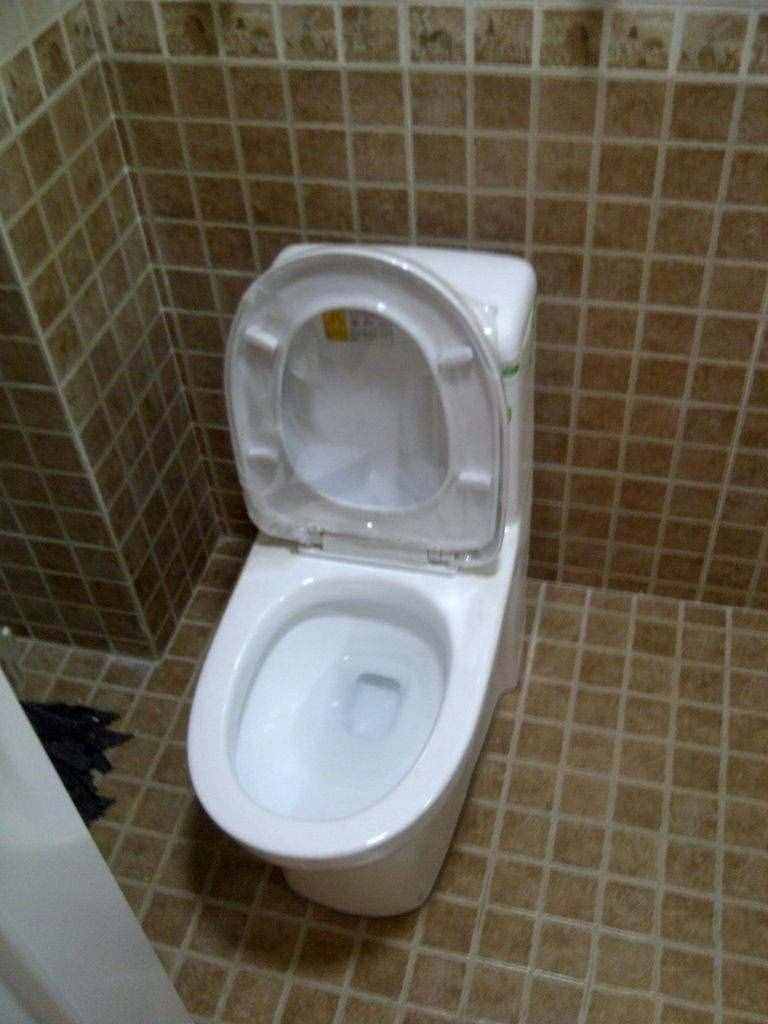 麻煩！抽水馬桶水箱漏水了，找?guī)煾颠^來看看，原來是這里出了問題