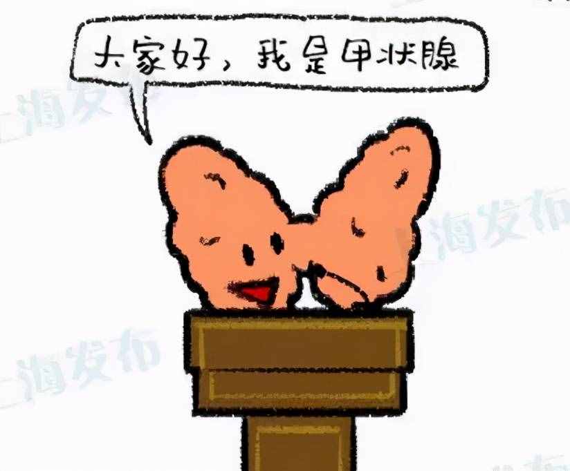 【醫(yī)聊】甲狀腺出了BUG：有人亢奮，有人消沉
