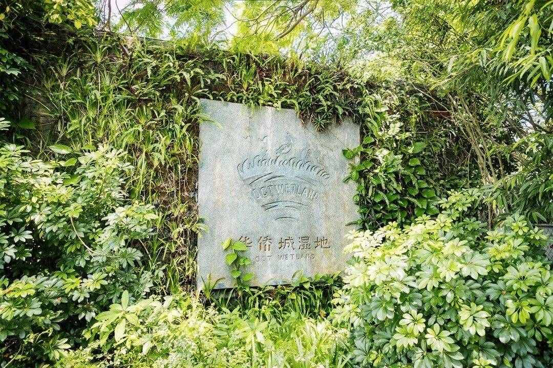 我們在深圳玩足了一整年，為你整理了這些好去處