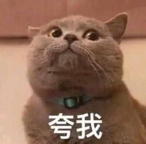 微信聊天記錄意外刪除不要慌，教你正確找回聊天記錄