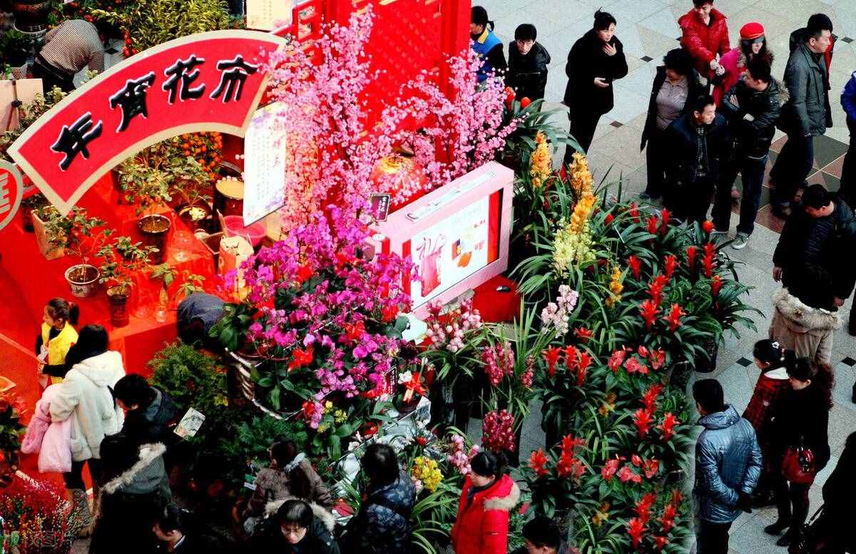 好看的“年味花”清單，花開的時(shí)候，年就近了