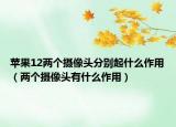 蘋果12兩個攝像頭分別起什么作用（兩個攝像頭有什么作用）