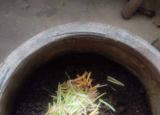 今日更新種花用什么土最好(種花草用什么土和肥料)