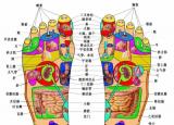 今日更新足部反射區(qū)（實用足底分布反射區(qū)）