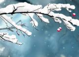 今日更新小雪節(jié)氣的詩(shī)（小雪飄揚(yáng)一片飛來(lái)一片寒）
