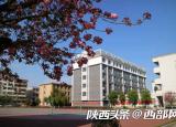 今日更新漢臺(tái)中學(xué)（春天里的陜西）