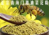今日更新油菜花粉的功效（油菜花粉的功效與作用及禁忌）