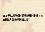 cad無法復(fù)制到剪貼板快捷鍵（cad無法復(fù)制到剪貼板）