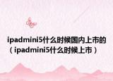 ipadmini5什么時候國內(nèi)上市的（ipadmini5什么時候上市）