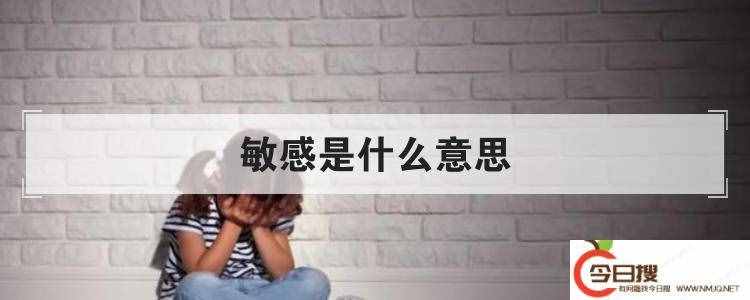 敏感是什么意思