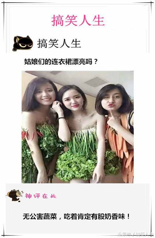 搞笑人生：難怪都說好白菜都被豬拱了，這次真的相信了！