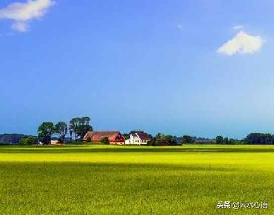 辛棄疾的一首詞，詼諧幽默，比喻生動(dòng)，嬉笑怒罵皆成文章
