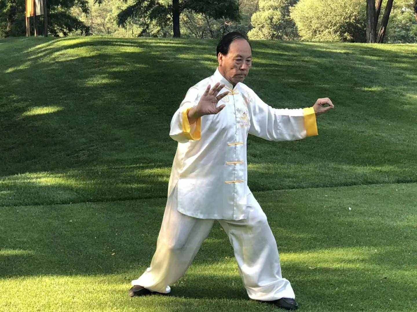 張志俊太極功夫連載19，張志俊太極功夫的誕生