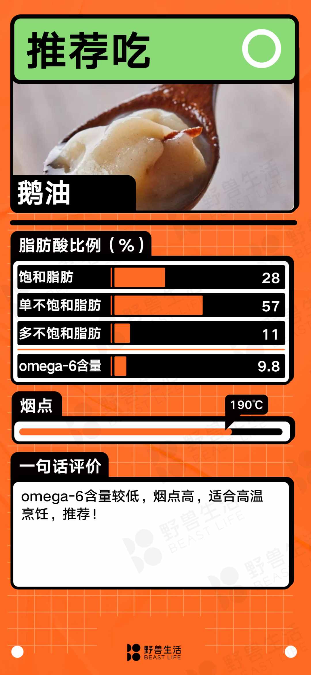 什么油最健康？25種食用油大盤點(diǎn)｜野獸生活