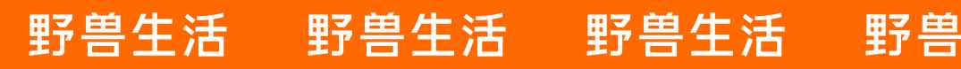 什么油最健康？25種食用油大盤點(diǎn)｜野獸生活