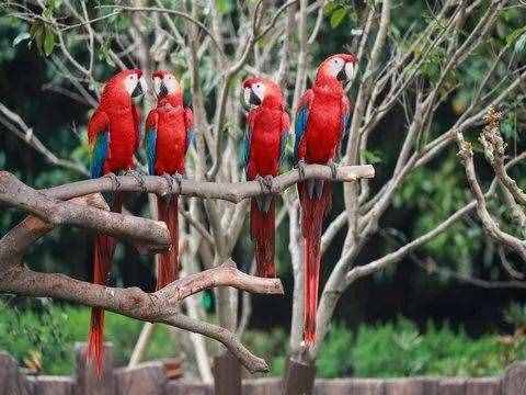 去處｜你真的知道怎么玩轉(zhuǎn)上海野生動(dòng)物園嗎？最全指南在這里！