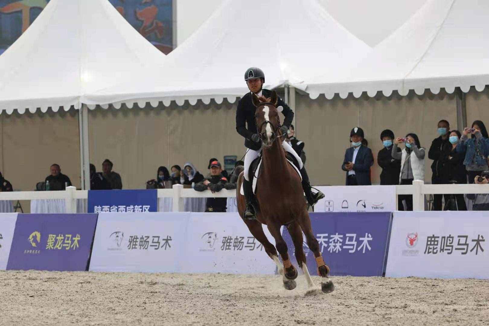 贊就對了！十四運(yùn)會(huì)馬術(shù)賽場迎“首秀”