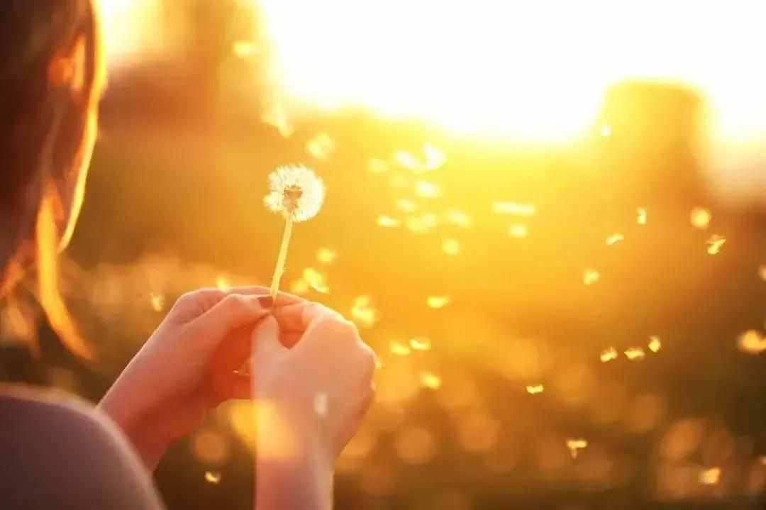不同類型的親戚關(guān)系，看清楚之后學(xué)會跟什么樣的親人交往