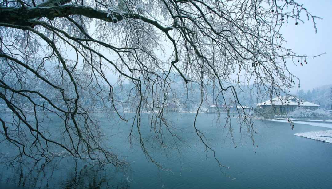 「詩(shī)詞鑒賞」十首冬景的詩(shī)詞，冬天的景色，在最美的詩(shī)詞里