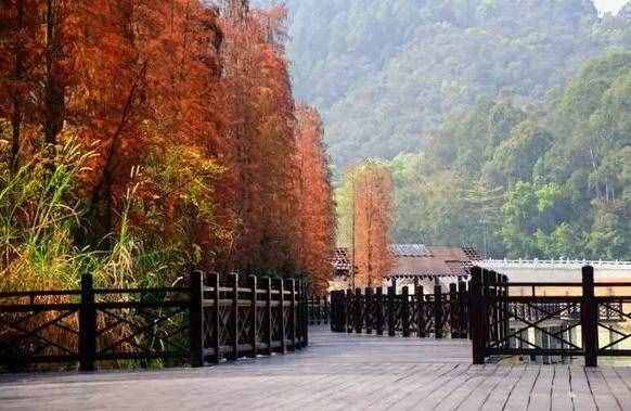 據(jù)說這是廣州最值得去的20個(gè)景點(diǎn)，你去過幾個(gè)？