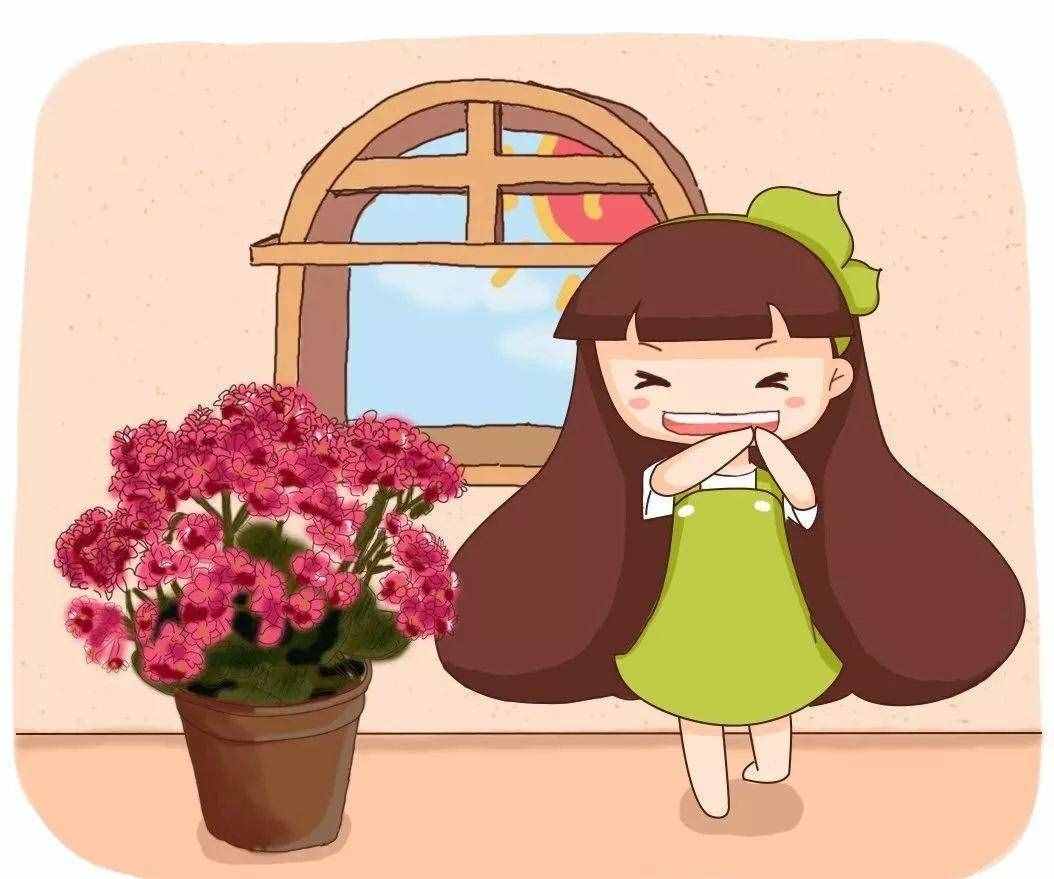 長壽花全套養(yǎng)護攻略，簡單學兩招就管用，省得光長葉不開花