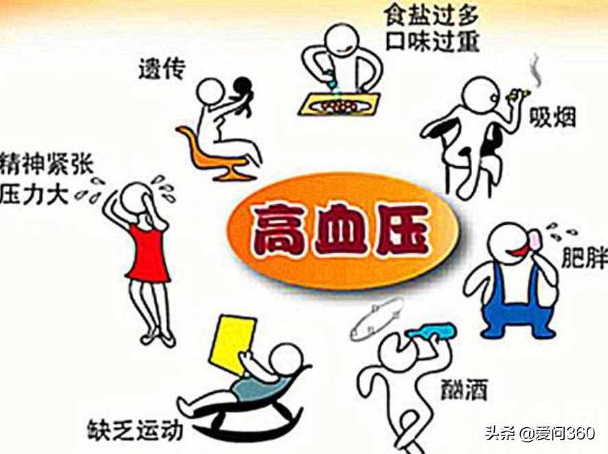 不吃肉，血壓不會高？高血壓的元兇其實是這幾個方面