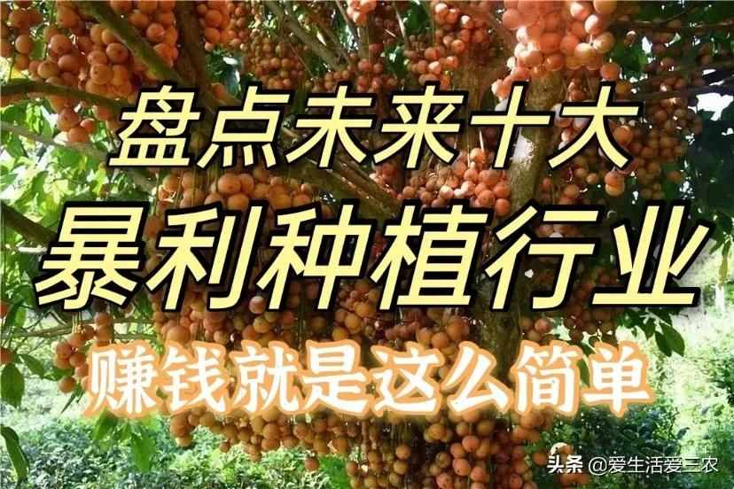 十大暴利種植項目，原來農(nóng)村賺錢真不難，建議收藏