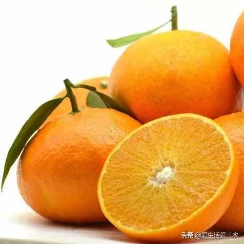 十大暴利種植項目，原來農(nóng)村賺錢真不難，建議收藏