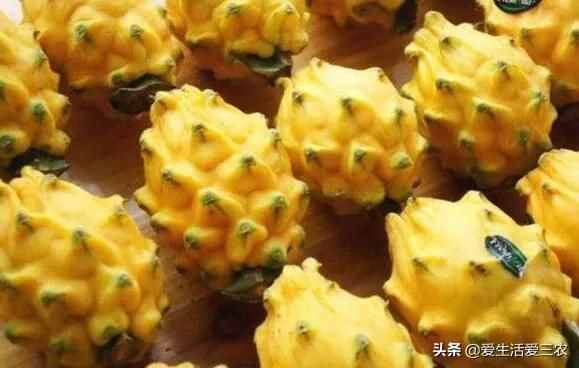十大暴利種植項目，原來農(nóng)村賺錢真不難，建議收藏