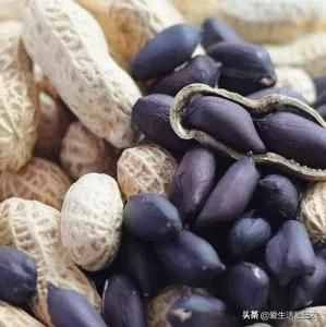 十大暴利種植項目，原來農(nóng)村賺錢真不難，建議收藏