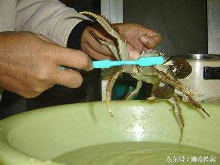螃蟹清洗技巧和方法：大閘蟹怎么處理才能清洗干凈內(nèi)臟和身體？