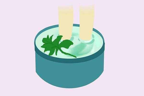 每天用艾葉泡腳，或會得到三大好處，但切勿亂泡