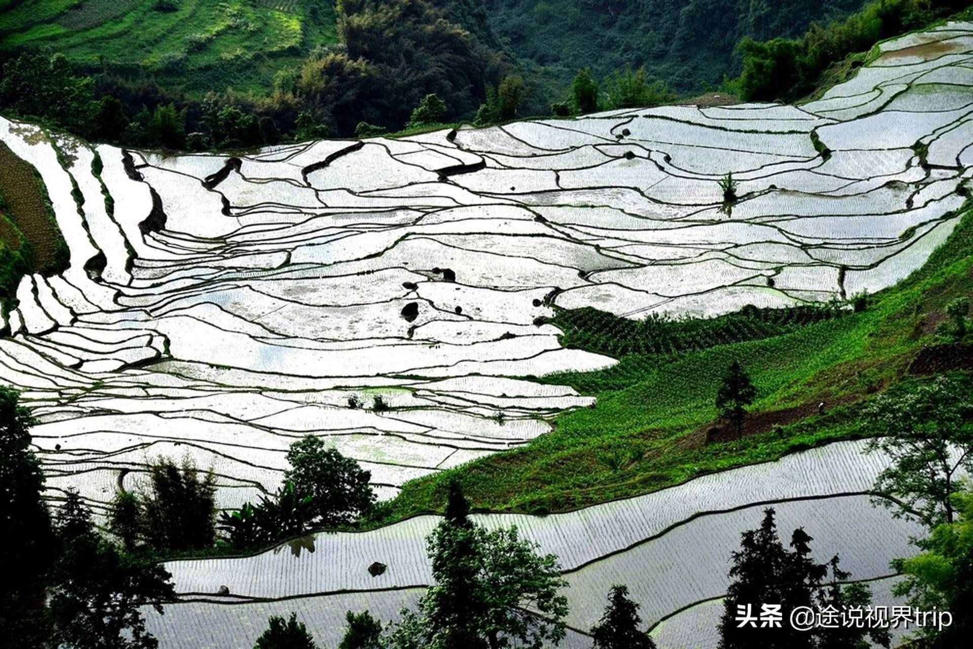 中國10大最美的梯田景觀，千年雕塑出來的仙境，如詩如畫美不勝收