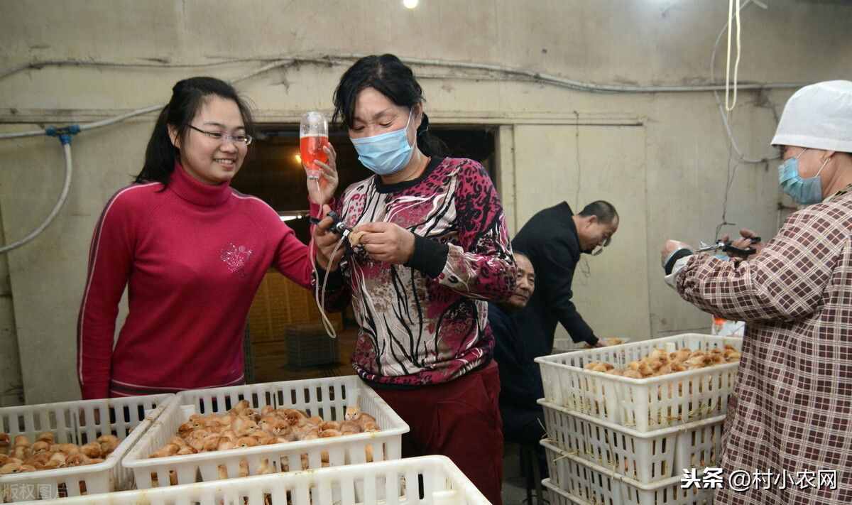 2021年在農(nóng)村創(chuàng)業(yè)，試試這25個(gè)致富項(xiàng)目，搞好了不比打工差