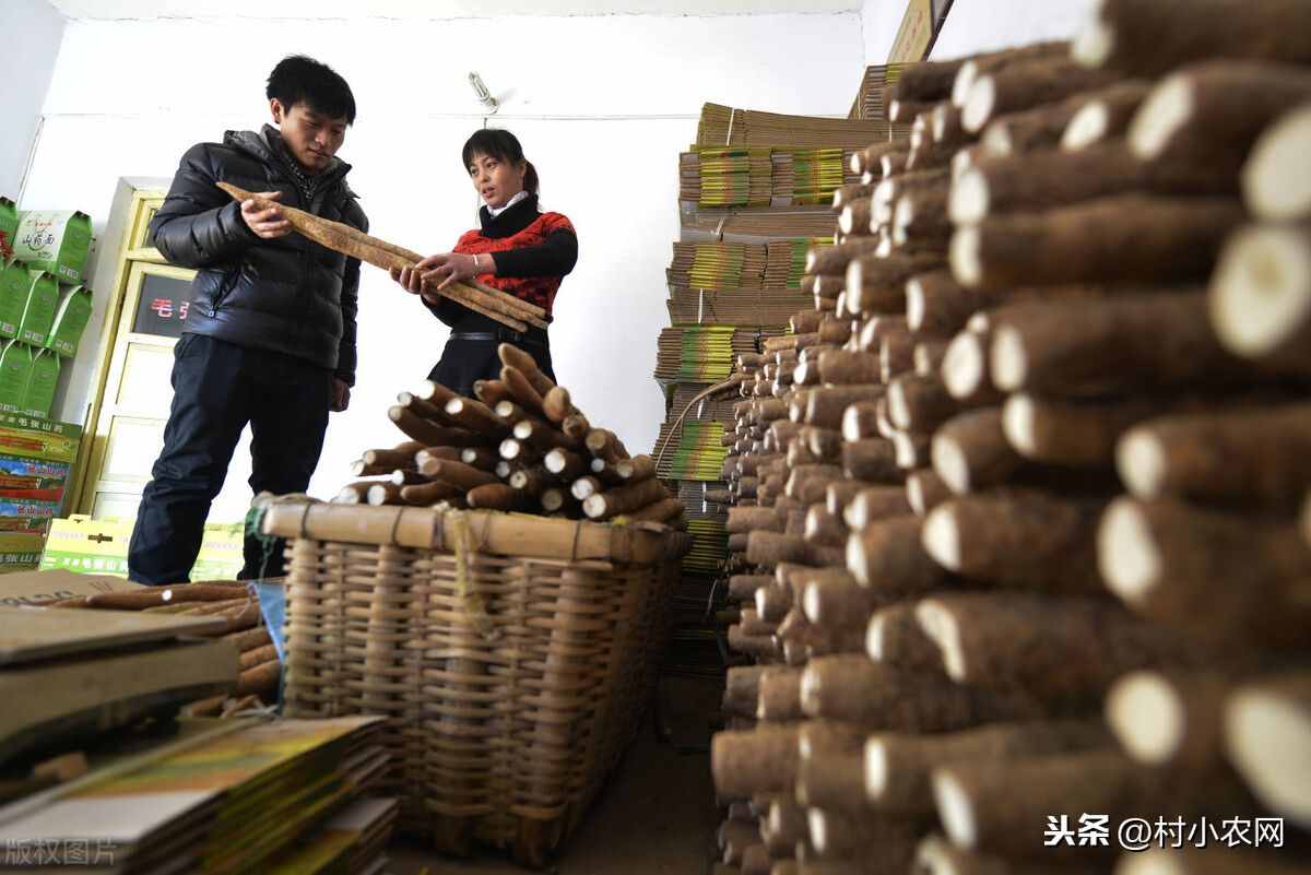2021年在農(nóng)村創(chuàng)業(yè)，試試這25個(gè)致富項(xiàng)目，搞好了不比打工差