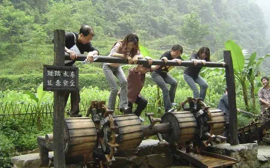 好玩不貴！50個最火爆的親子農(nóng)場體驗項目