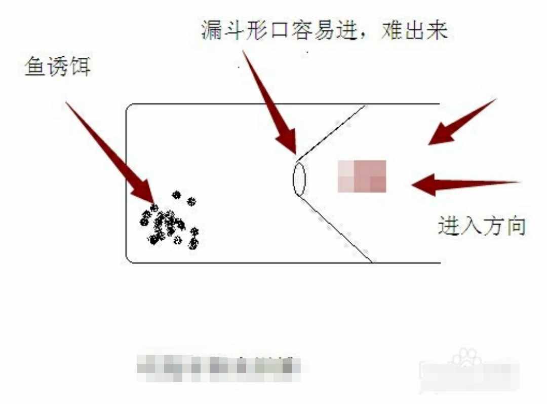 想不到飲料瓶還有這用處，制作簡易捕魚、蝦工具
