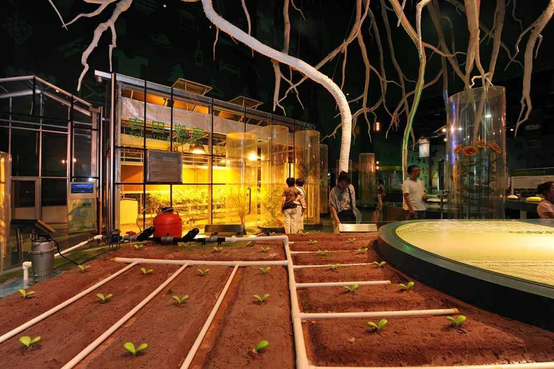 暑假拒絕孩子宅家！北京新科技館了解一下？