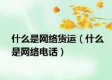 什么是網(wǎng)絡(luò)貨運(yùn)（什么是網(wǎng)絡(luò)電話）