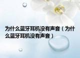為什么藍(lán)牙耳機(jī)沒有聲音（為什么藍(lán)牙耳機(jī)沒有聲音）