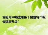 冒險(xiǎn)島70級去哪練（冒險(xiǎn)島70級去哪里升級）