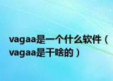 vagaa是一個什么軟件（vagaa是干啥的）