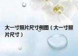大一寸照片尺寸例圖（大一寸照片尺寸）