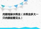 肉眼觀察水熊蟲（水熊蟲多大一只肉眼能看見么）