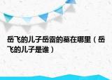 岳飛的兒子岳雷的墓在哪里（岳飛的兒子是誰(shuí)）