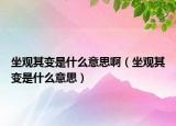 坐觀其變是什么意思?。ㄗ^其變是什么意思）