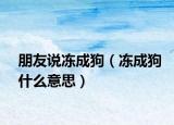 朋友說凍成狗（凍成狗什么意思）
