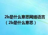 2b是什么意思網(wǎng)絡(luò)語(yǔ)言（2b是什么意思）