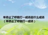 羊停止了呼吸打一成語是什么成語（羊停止了呼吸打一成語）