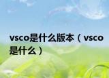 vsco是什么版本（vsco是什么）